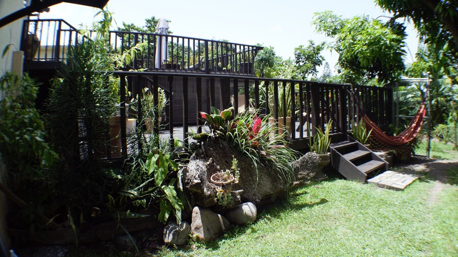 New Kingston Guest Apt at Evans