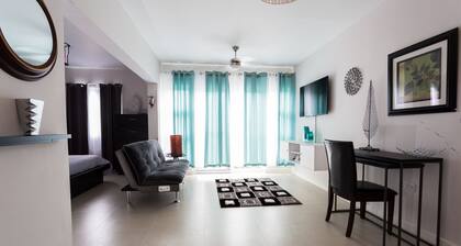 Kingston Luxury Guest Apt at Sullivan