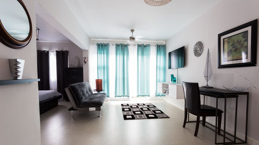 Kingston Luxury Guest Apt at Sullivan