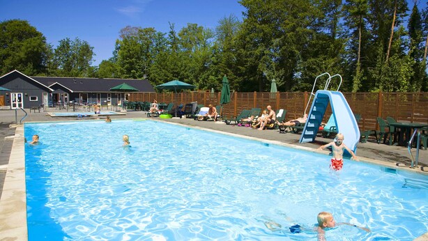 A swimming pool with lounge chairs and a slide, surrounded by a wooden fence and trees.