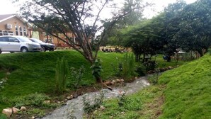 Uma área gramada com um pequeno riacho, árvores e um edifício ao fundo.