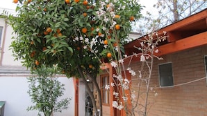 A building with a brick facade, a tree with oranges and white flowers, and a clear sky. - Ventana Sur Hostel (Santiago)
