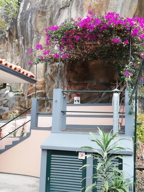 Exterior detail - FX Pena (Funchal)