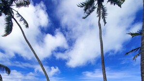 A person relaxing on a lounge chair with a view of the ocean and palm trees. - Flor de Lis Exclusive Hotel (Maceió)