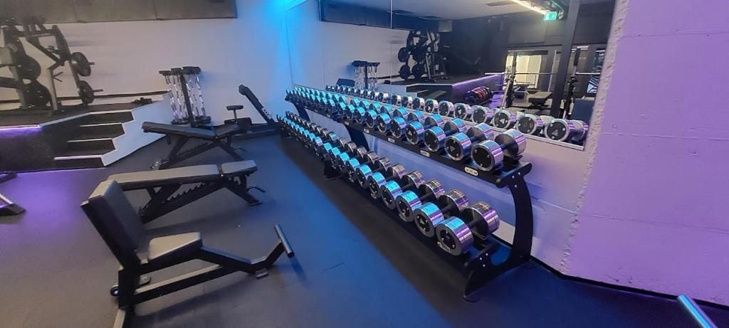 Un gimnasio con hileras de mancuernas, equipo de ejercicio y un espejo en la pared.