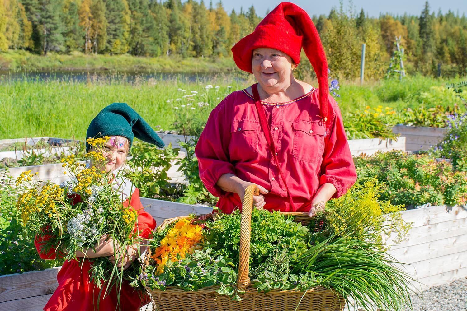 Een tuin met verschillende planten en een rieten mand.