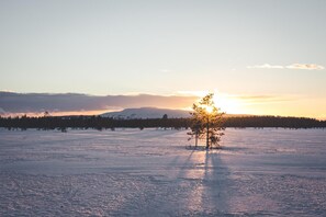 A snowy landscape with a tree in the foreground and a mountain in the background during sunset. - Elves Village Hotel (Kittila)