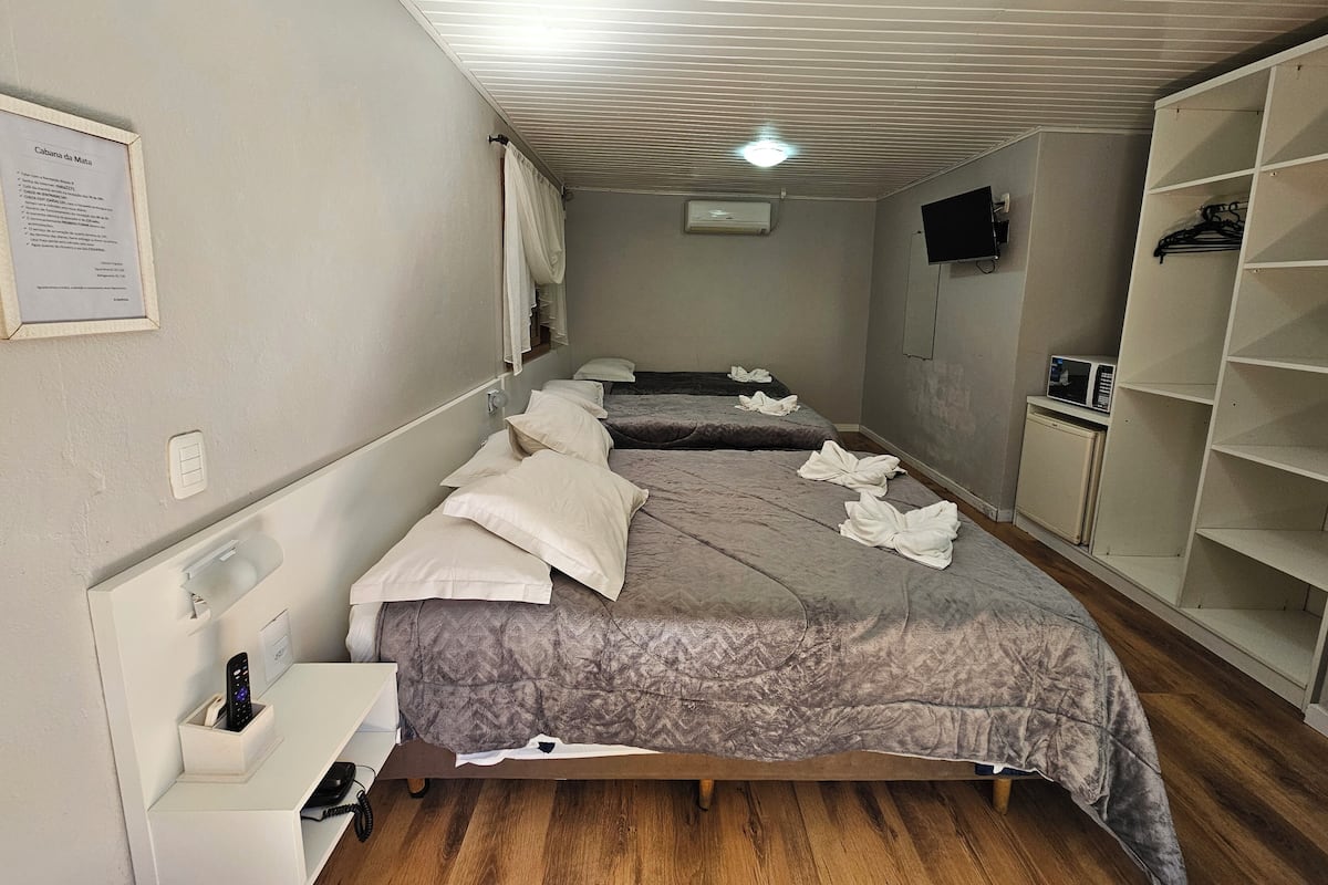 Habitación de hotel con dos camas, televisión, microondas y armario.