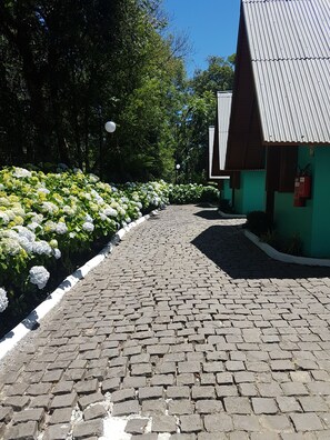 Un vialetto in pietra che conduce a un edificio con facciata verde e tetto in lamiera ondulata.