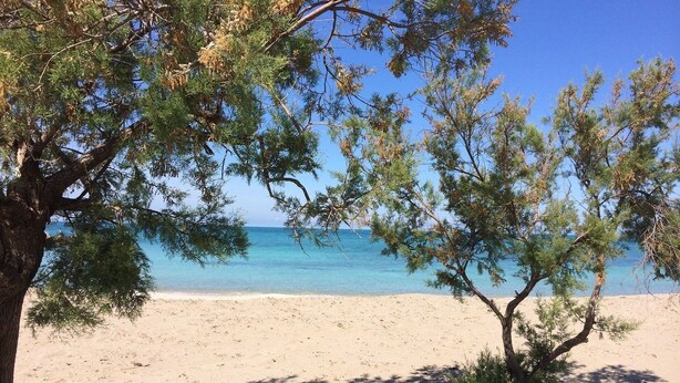 Une plage à l’eau d’un bleu limpide et au rivage sablonneux, bordée d’arbres.