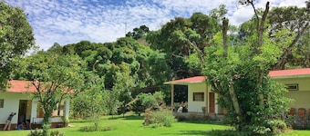 El Mangal