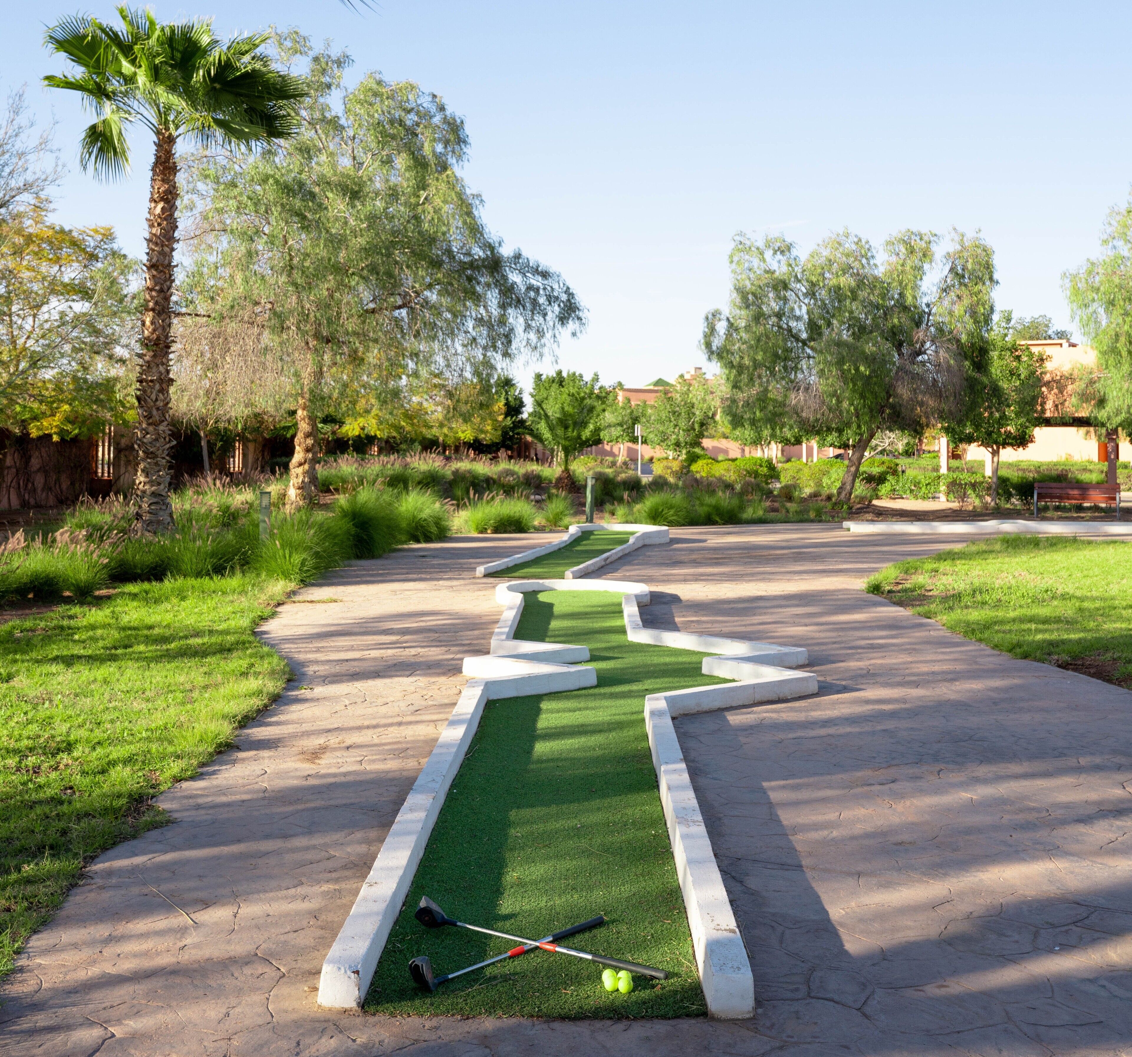 Un campo da golf con un putting green, una palma e una panchina di legno.