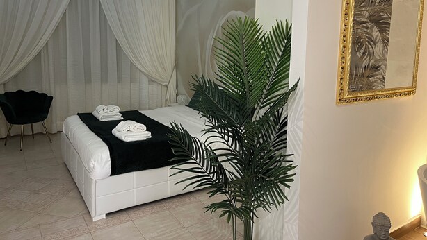 Una cama bien hecha con toallas dobladas, una manta negra y una planta verde grande a un lado.