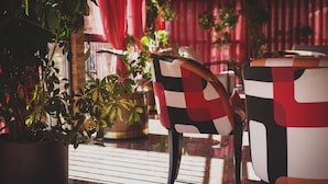 A room with a potted plant, a chair with a checkered pattern, and a window with blinds. - Hotel Restaurante La Bodega (La Almunia de Dona Godina)