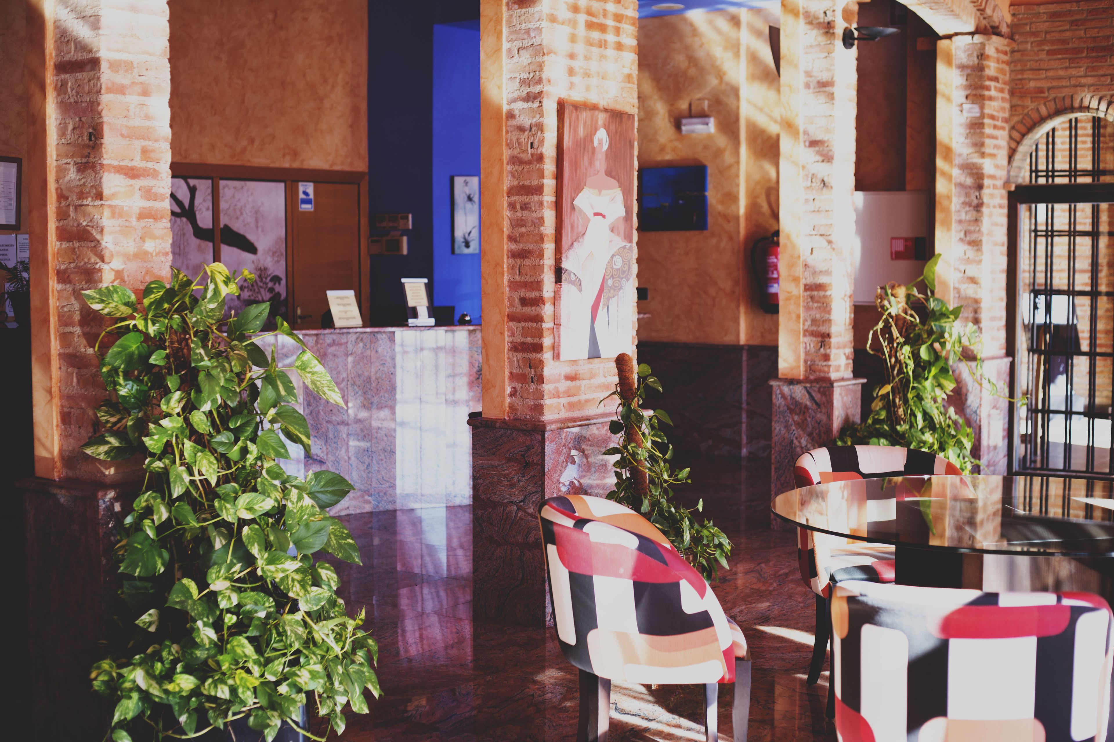 Bar (en el alojamiento)