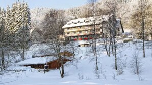 Exterior - Waldhaus Am See (Willingen)