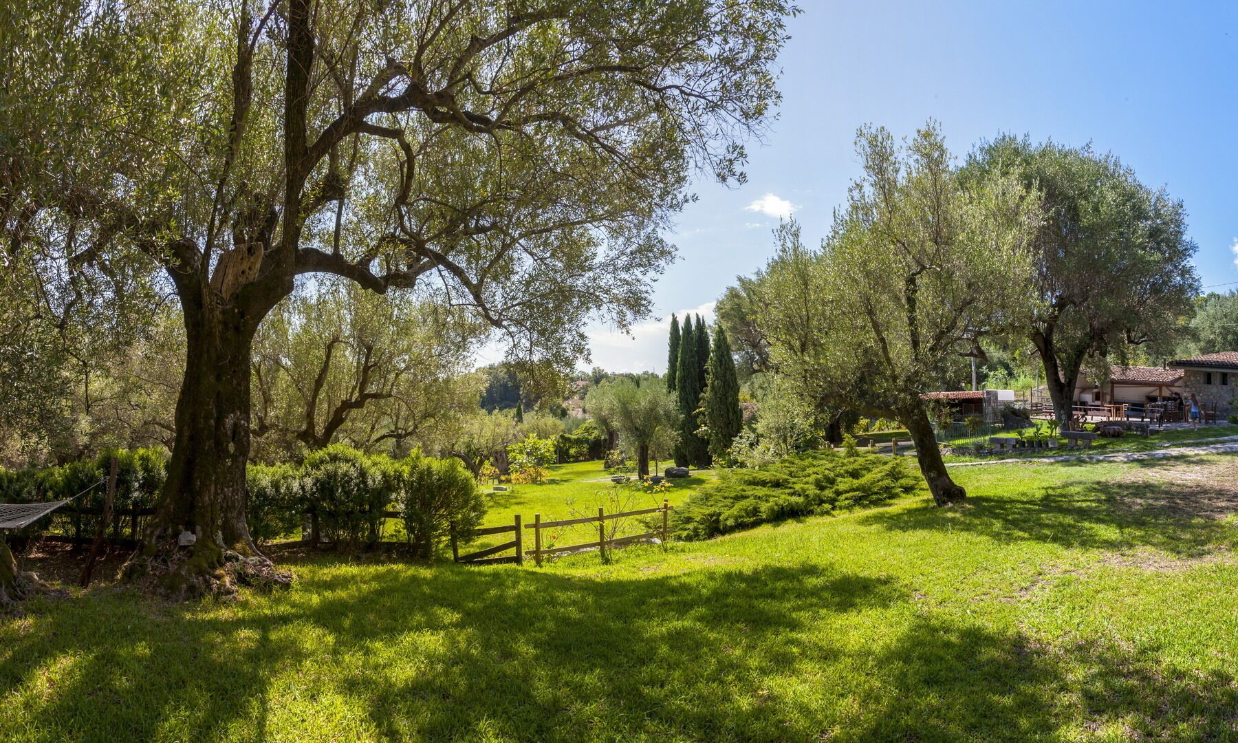 A rural landscape with a large tree, a wooden fence, and a building in the background.