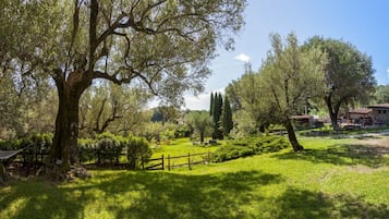 Un paysage rural avec un grand arbre, une clôture en bois et un bâtiment en arrière-plan.