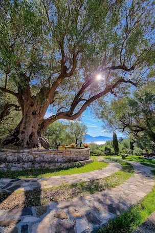 Exterior. Pie' d'Ulivo