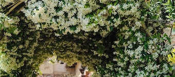 B&B La Torretta