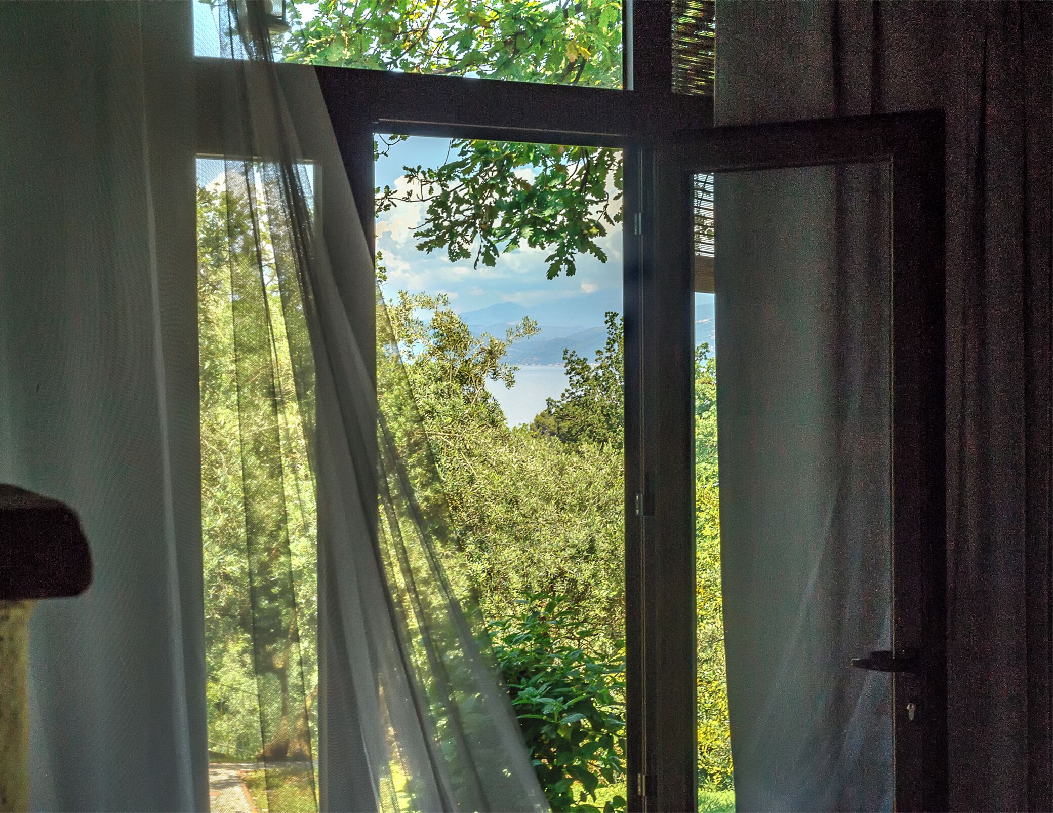 Una ventana con cortinas translúcidas, vista a un bosque y una montaña al fondo.