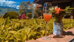 A glass of orange juice on a table with a lace-covered vase and a rose, set against a backdrop of lush greenery and mountains.