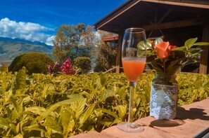 A glass of orange juice on a table with a lace-covered vase and a rose, set against a backdrop of lush greenery and mountains.