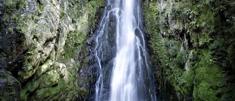 A waterfall cascading down a moss-covered cliff into a calm pool.