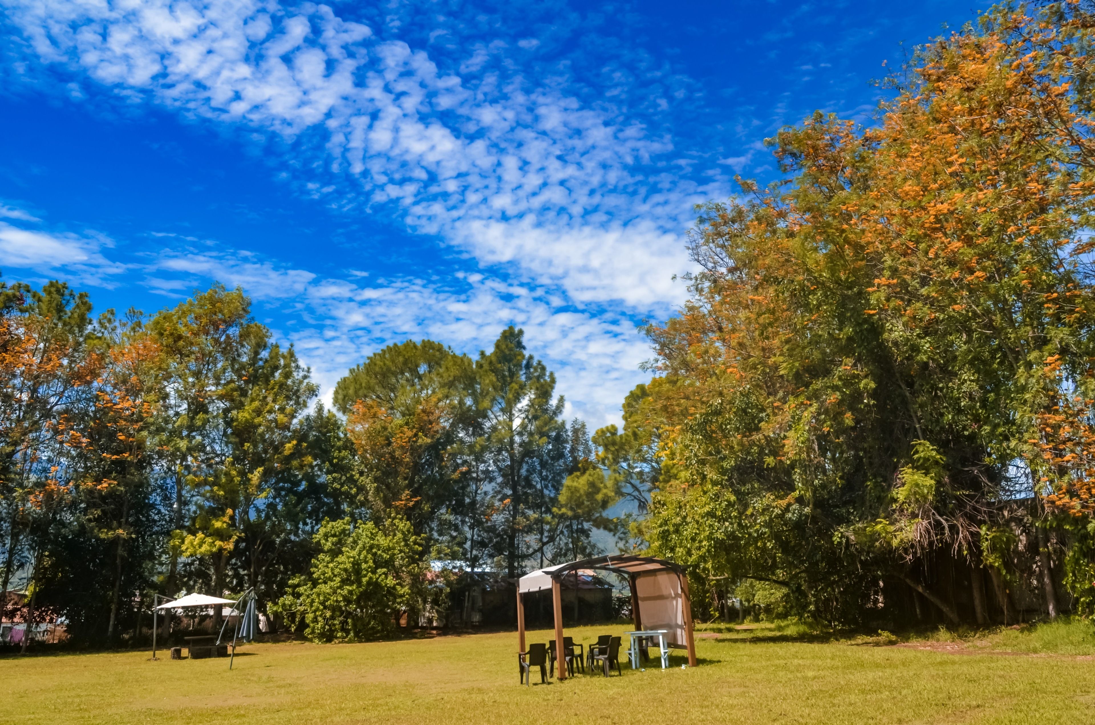A grassy area with a covered seating area and a swing set.