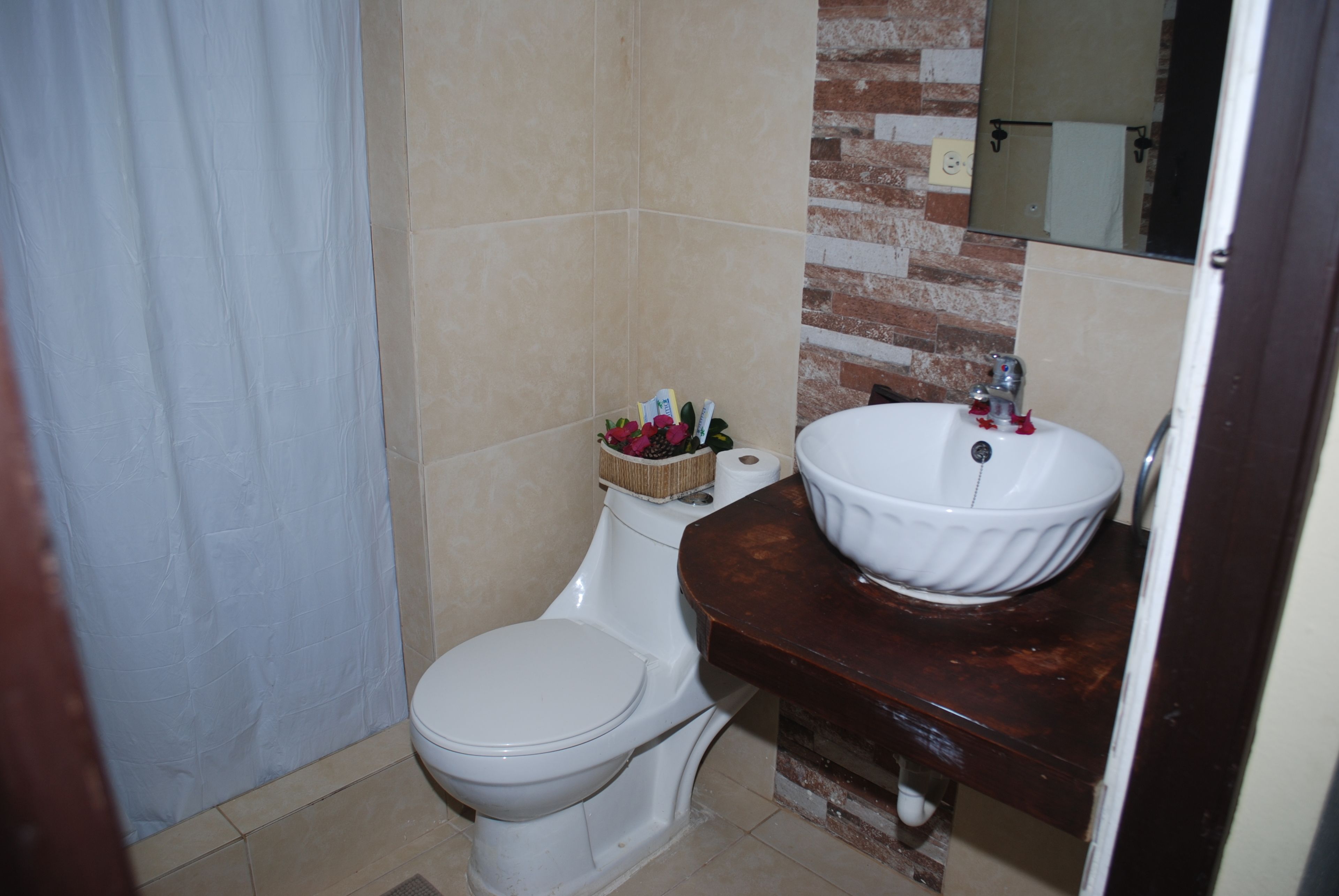 A bathroom with a white toilet, a white sink with a large bowl, and a mirror above the sink.