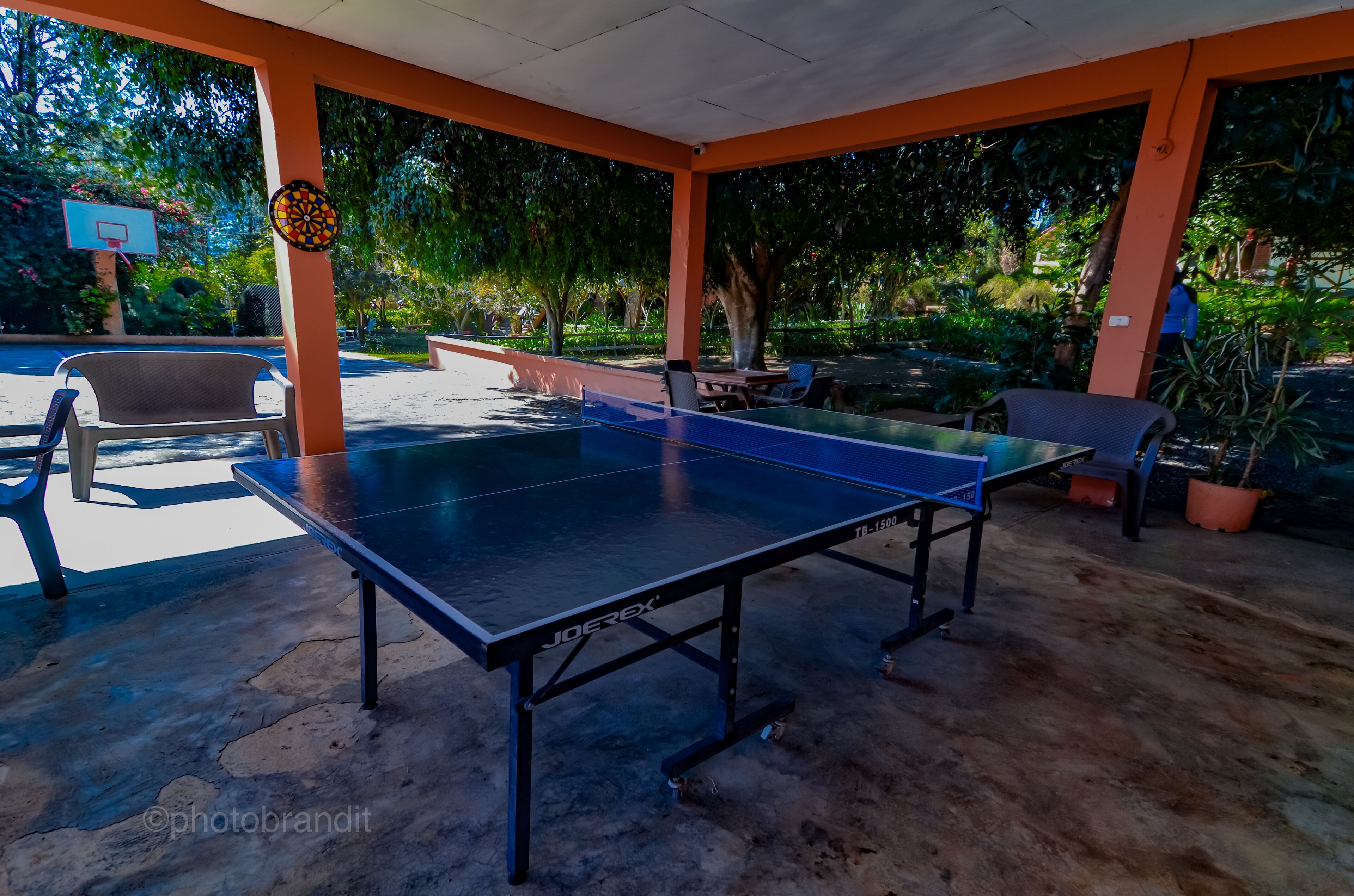 A ping pong table in an outdoor area with orange pillars, a basketball hoop, and potted plants.