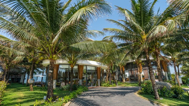 A pathway leading to a building with palm trees and a well-maintained lawn.