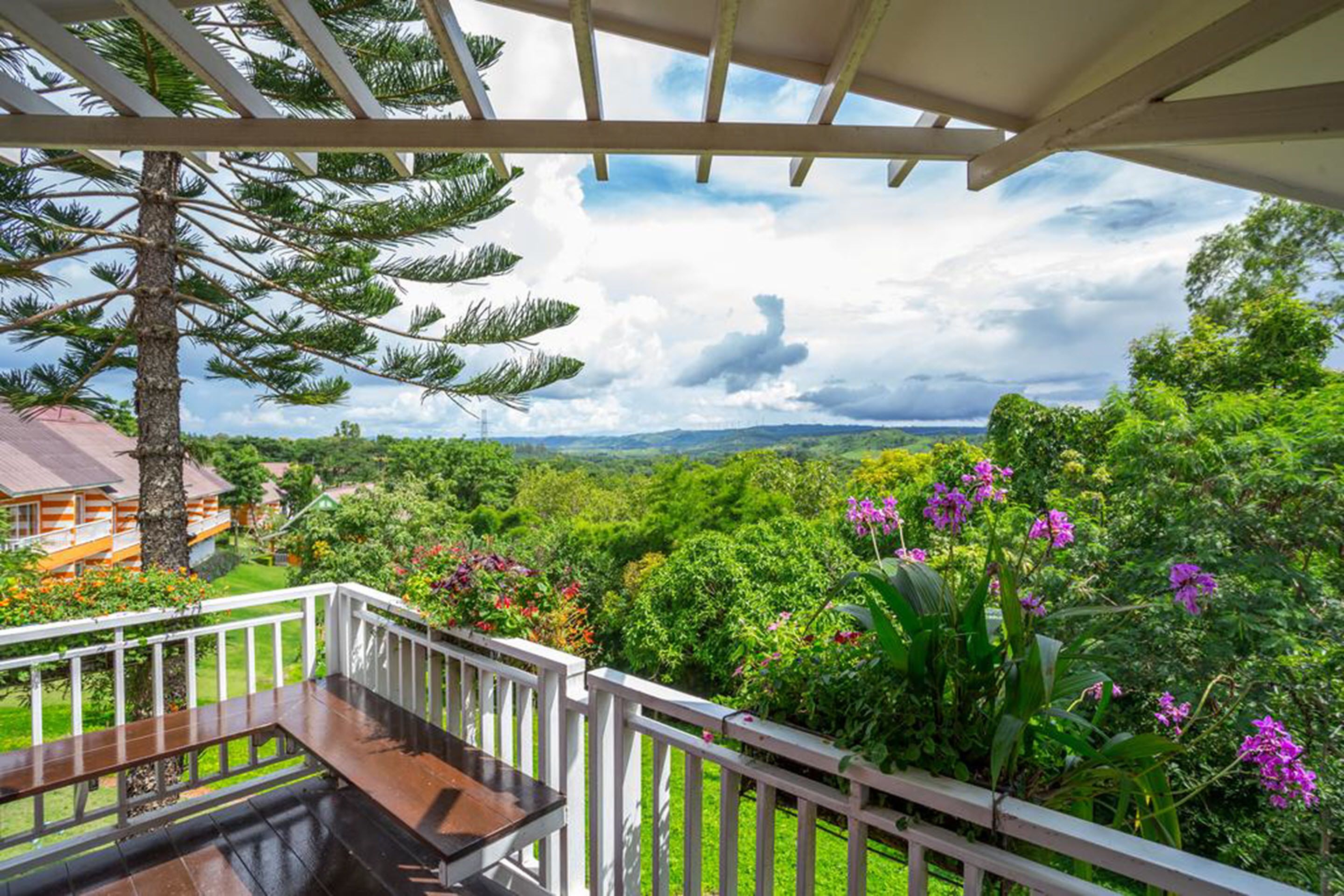 Cliff Cabin | 객실에서 보이는 전망