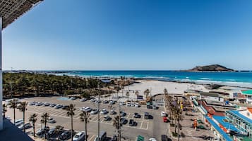 Beach/ocean view