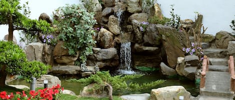 Jardin