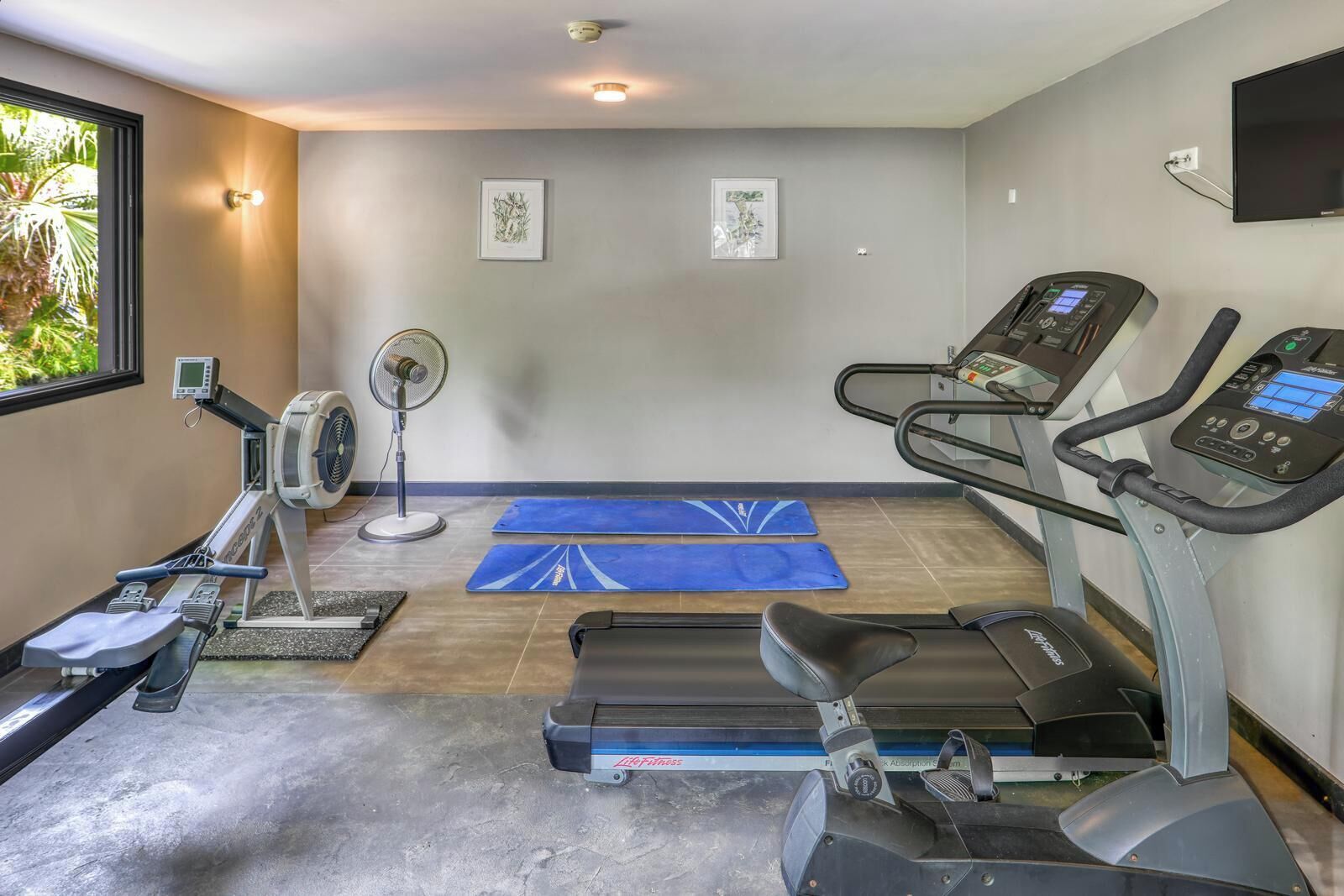 A gym with cardio equipment including treadmills and a rowing machine, a fan, and exercise mats.