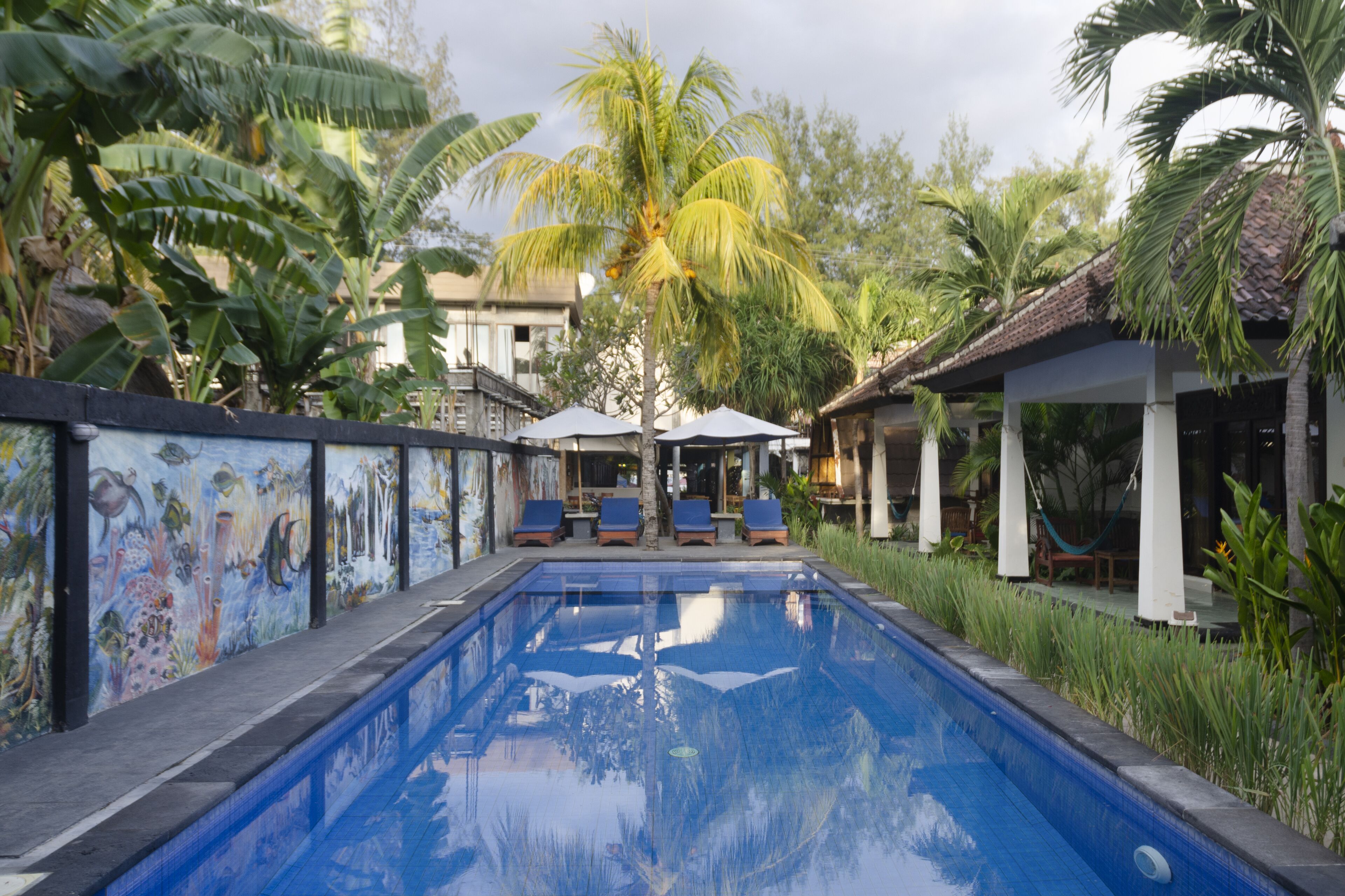 Piscina externa