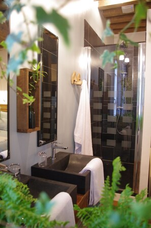 Shower, free toiletries, hair dryer, towels