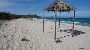 Una playa con una estructura de techo de paja, arena y vista al océano.