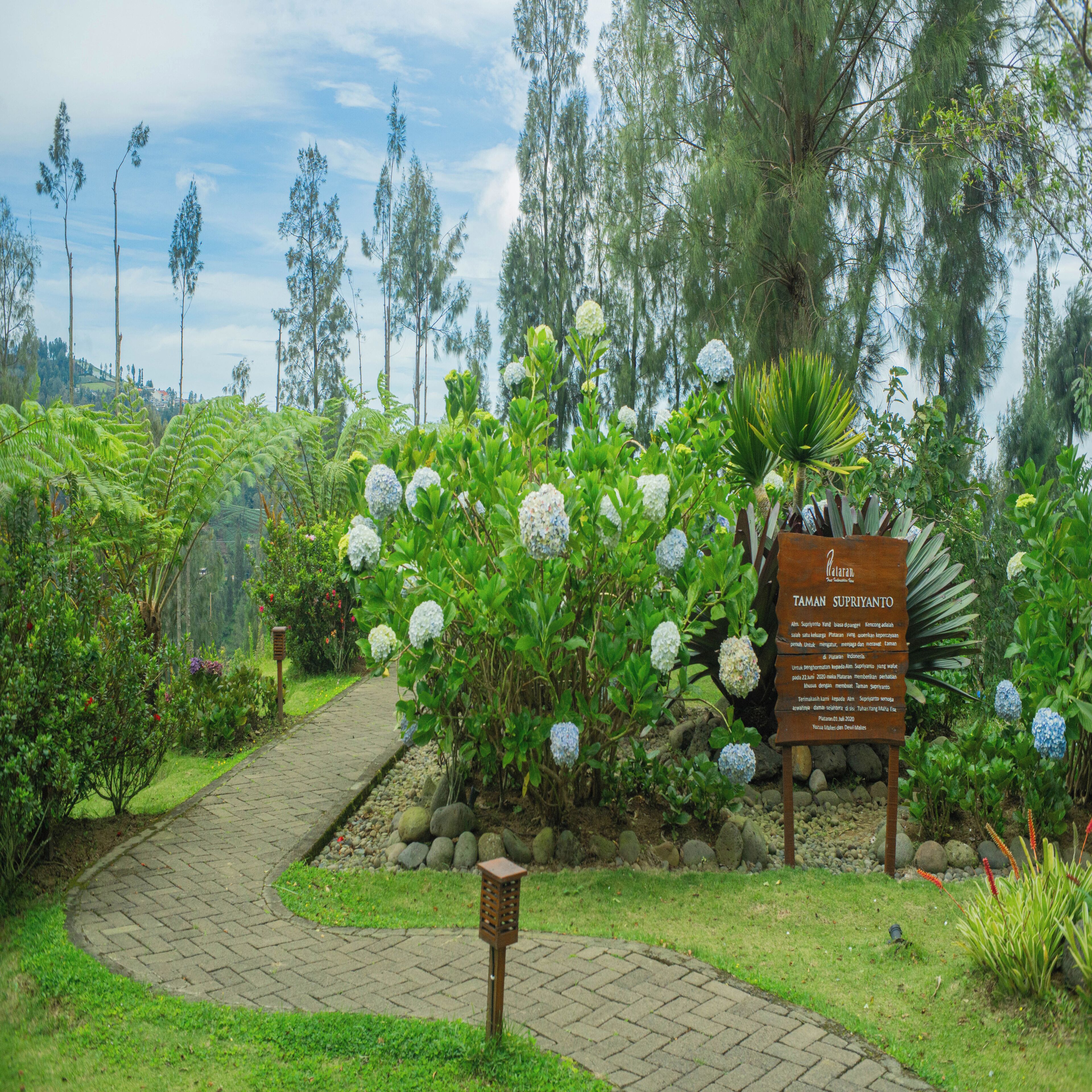 A garden pathway leading to a sign with text, surrounded by lush greenery and trees.
