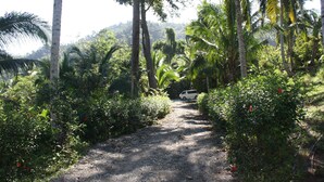 Garden - Margarett Farm Vacation House (Dipaculao)