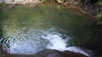 Outdoor pool, a natural pool