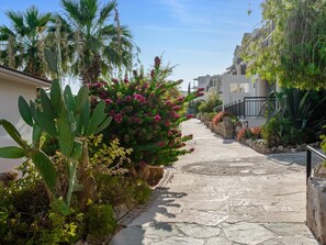 Property grounds - Paradise Kings Club (Paphos)