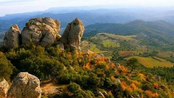 Eine gebirgige Landschaft mit Felsen und dichter Vegetation.