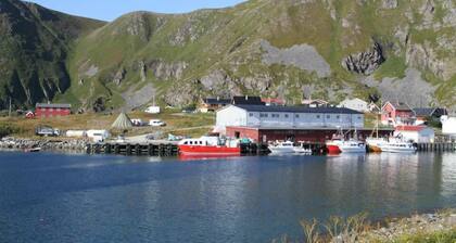 Sørøya Havfiskecruise AS - Elfridastua