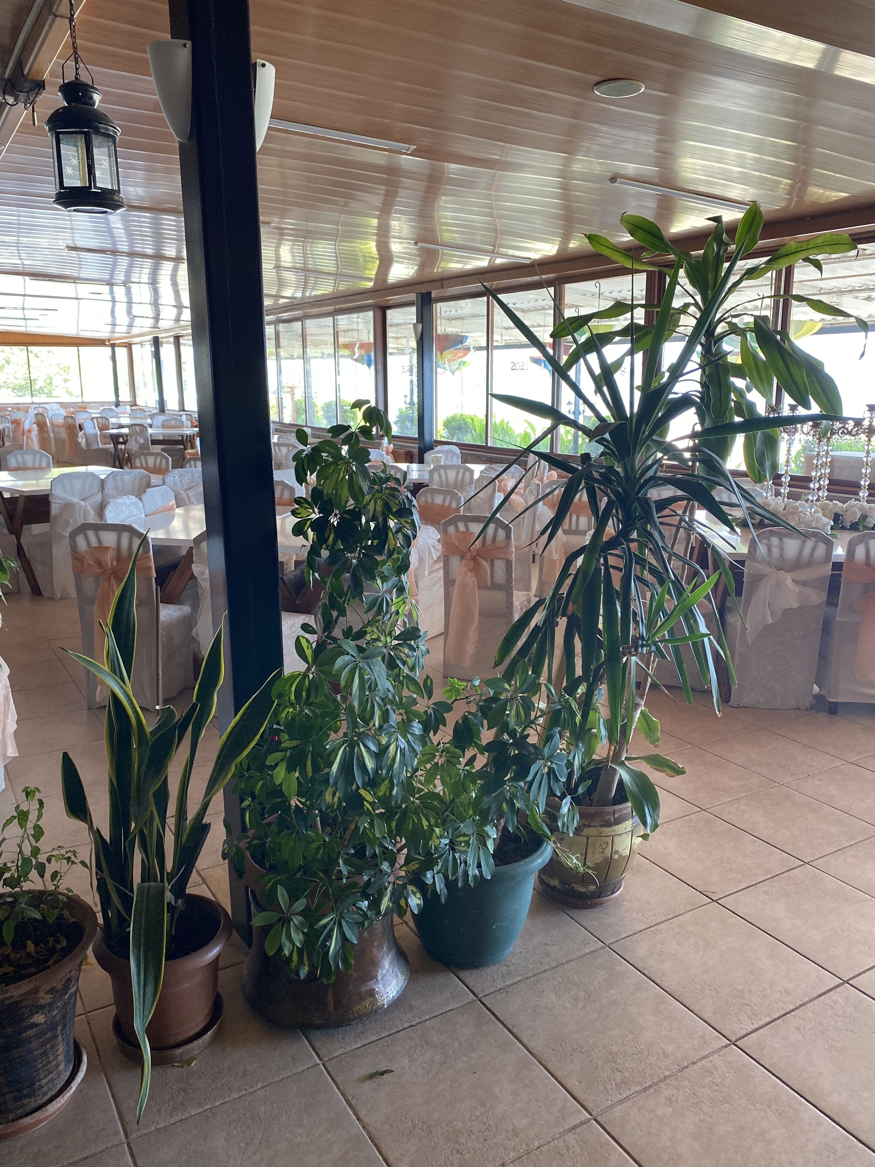 Un espacio interior amplio con mesas y sillas, plantas en macetas grandes y faroles colgantes.
