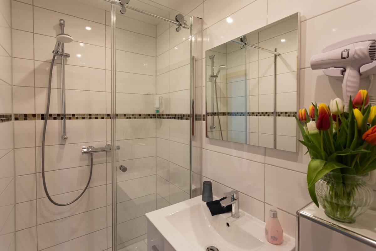 economy single room, ensuite, river view | bathroom