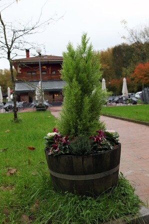 En trälåda med en barrträd och lila blommor, placerad på en gångstig av tegelstenar, med en byggnad och utomhusmöbler i bakgrunden.
