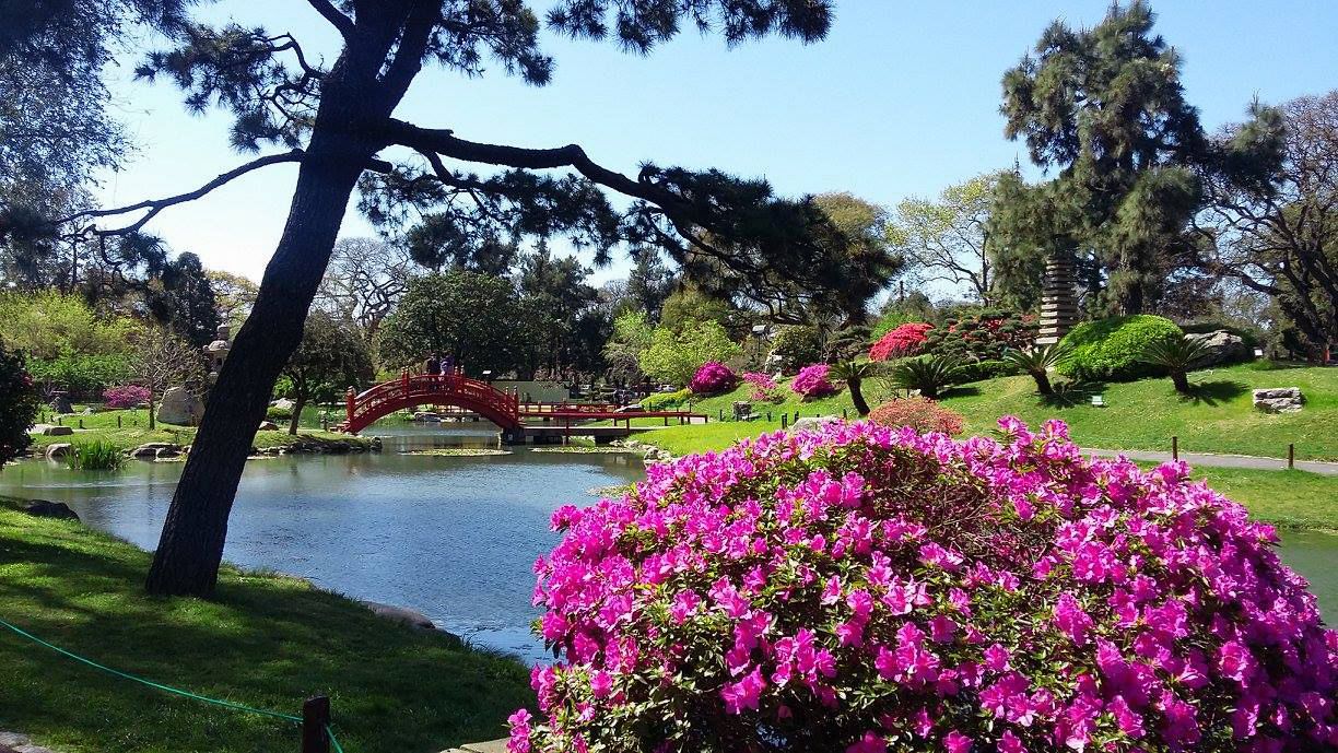 Foto - AQ Tailored Suites