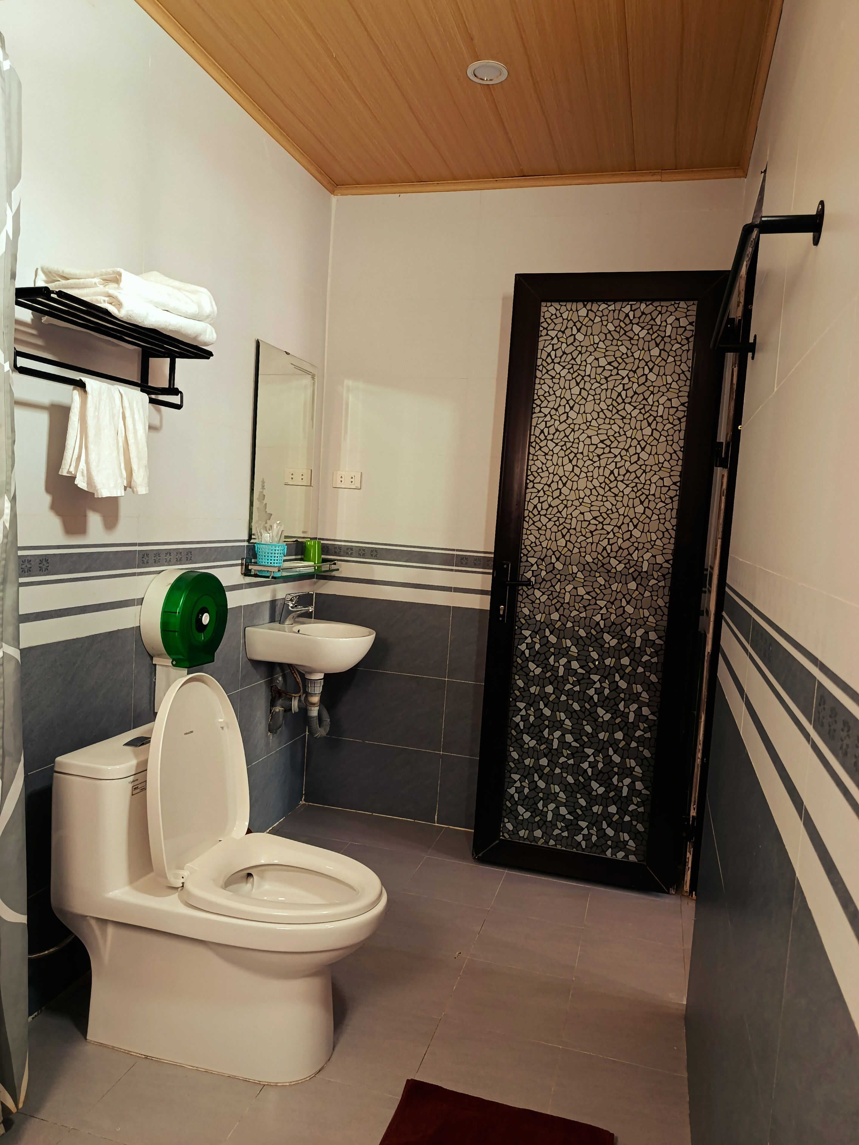 A bathroom with a toilet, sink, towel rack, and a door with a mosaic pattern.
